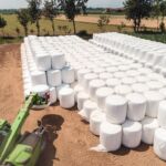 Orkel paalain Orkel paalain